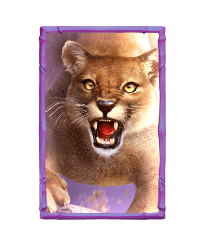 Cougar Symbol